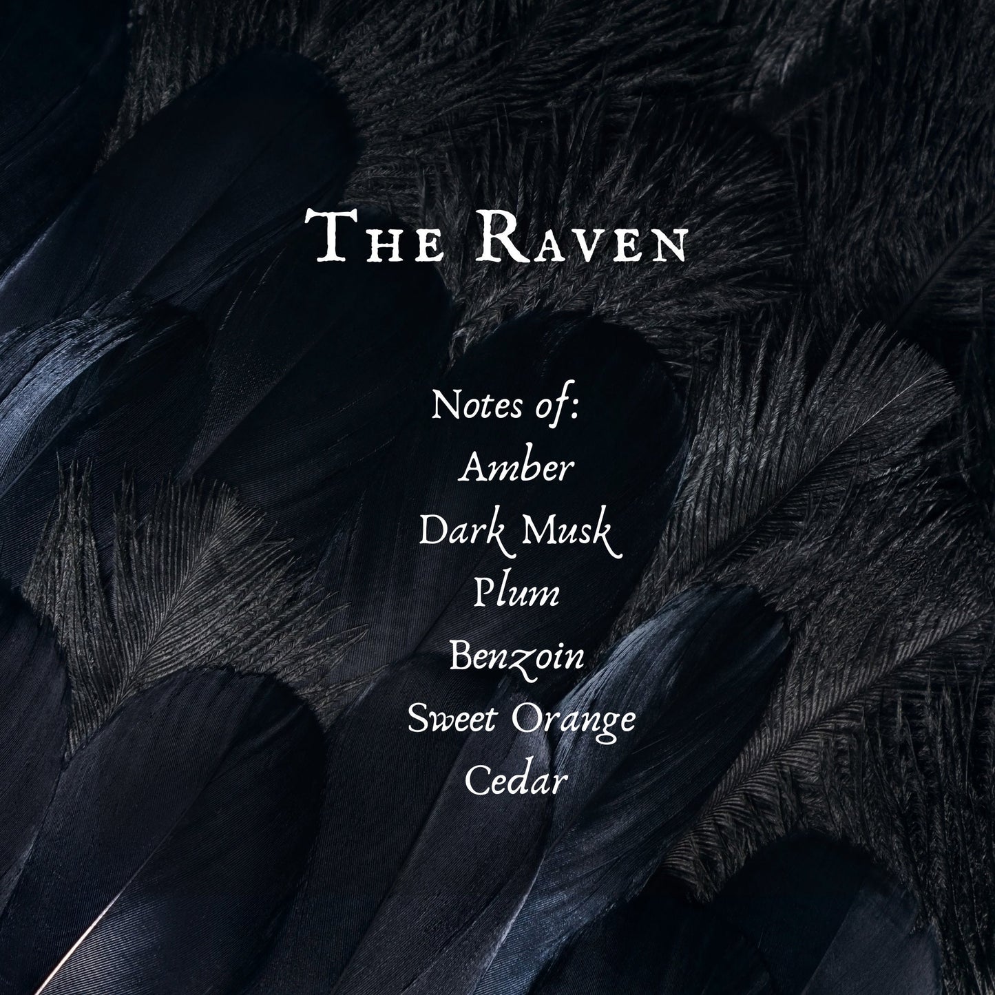 The Raven Perfume Oil, Amber and Dark Musk