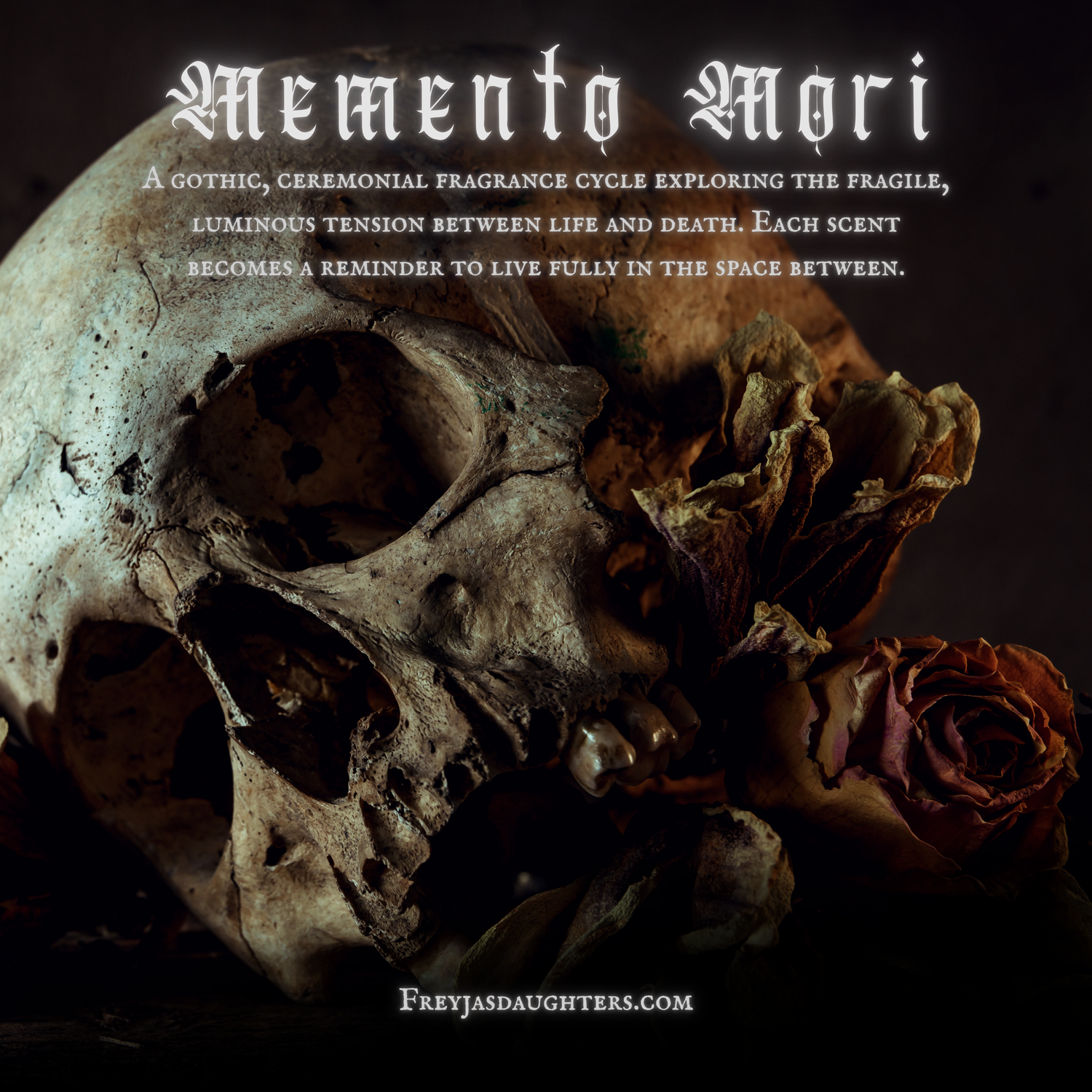Memento Mori Collection