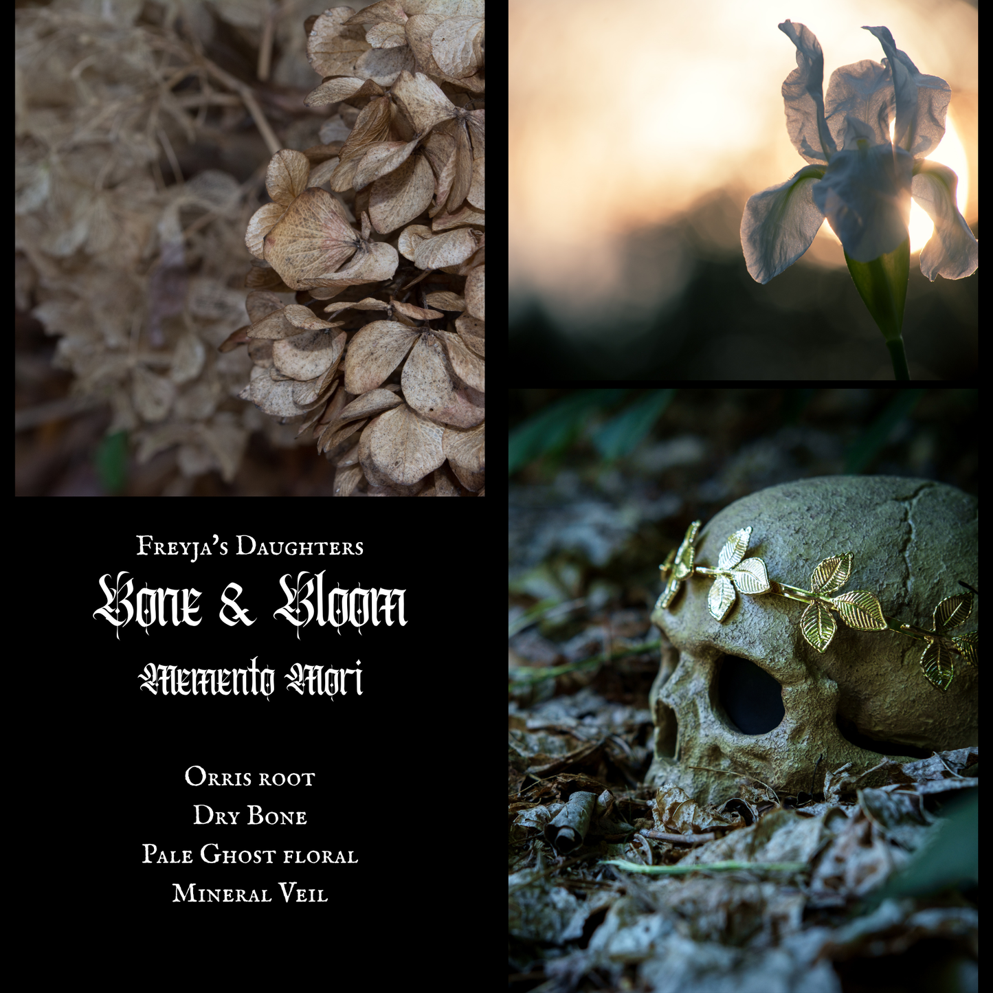 Memento Mori Collection Sample Set; 4-4ml Sample Sprays, EDT