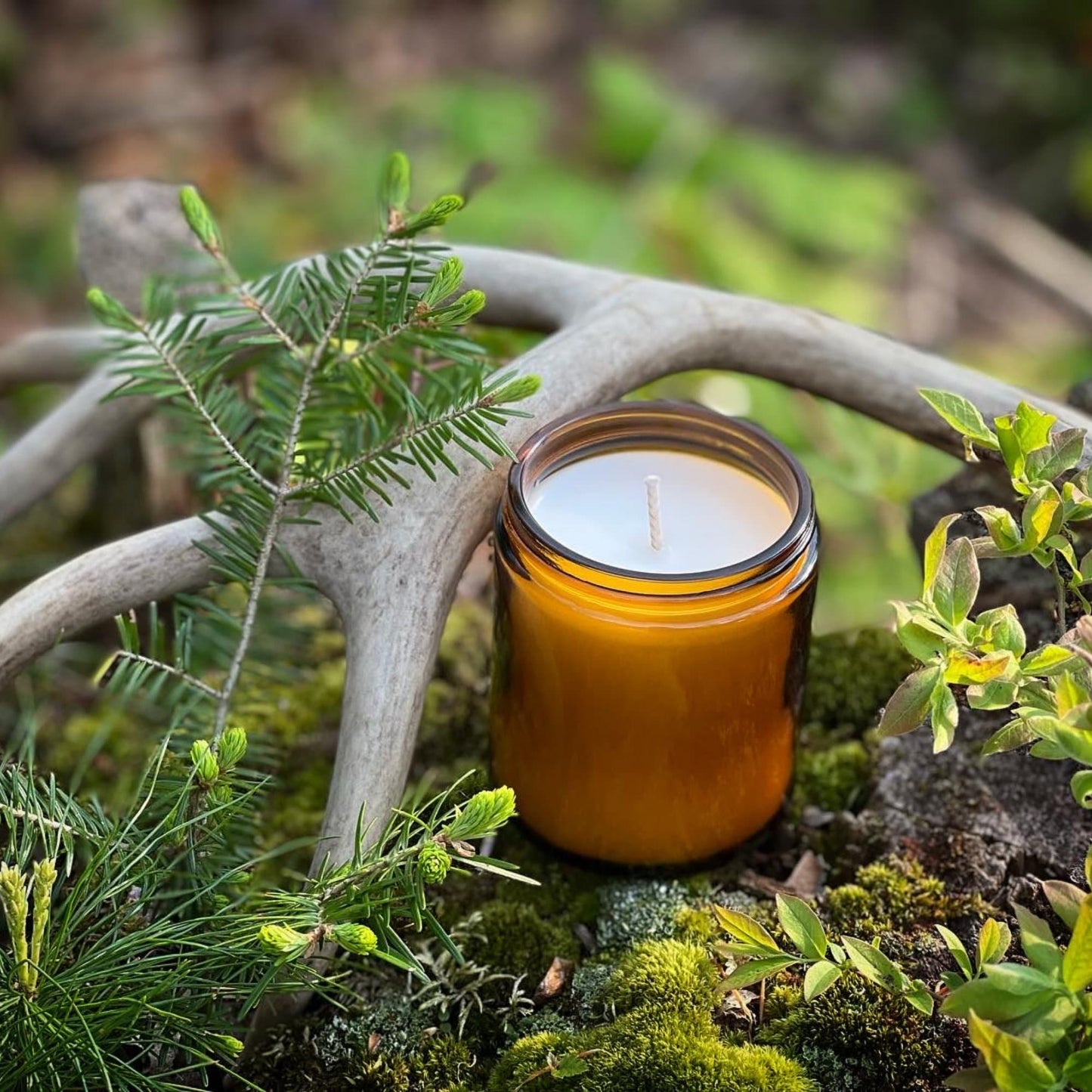 a candle sitting on top of a moss covered ground