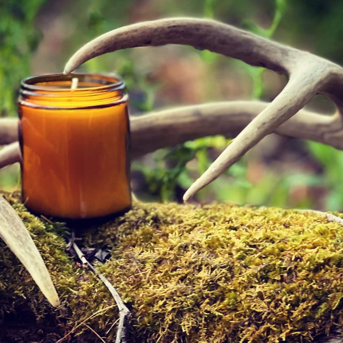 Witches Brew Candle, Autumn Magic Collection, Small Batch Candles, Spiced Apple Cider, Orange Peel, Cinnamon, Red Currant and Magic