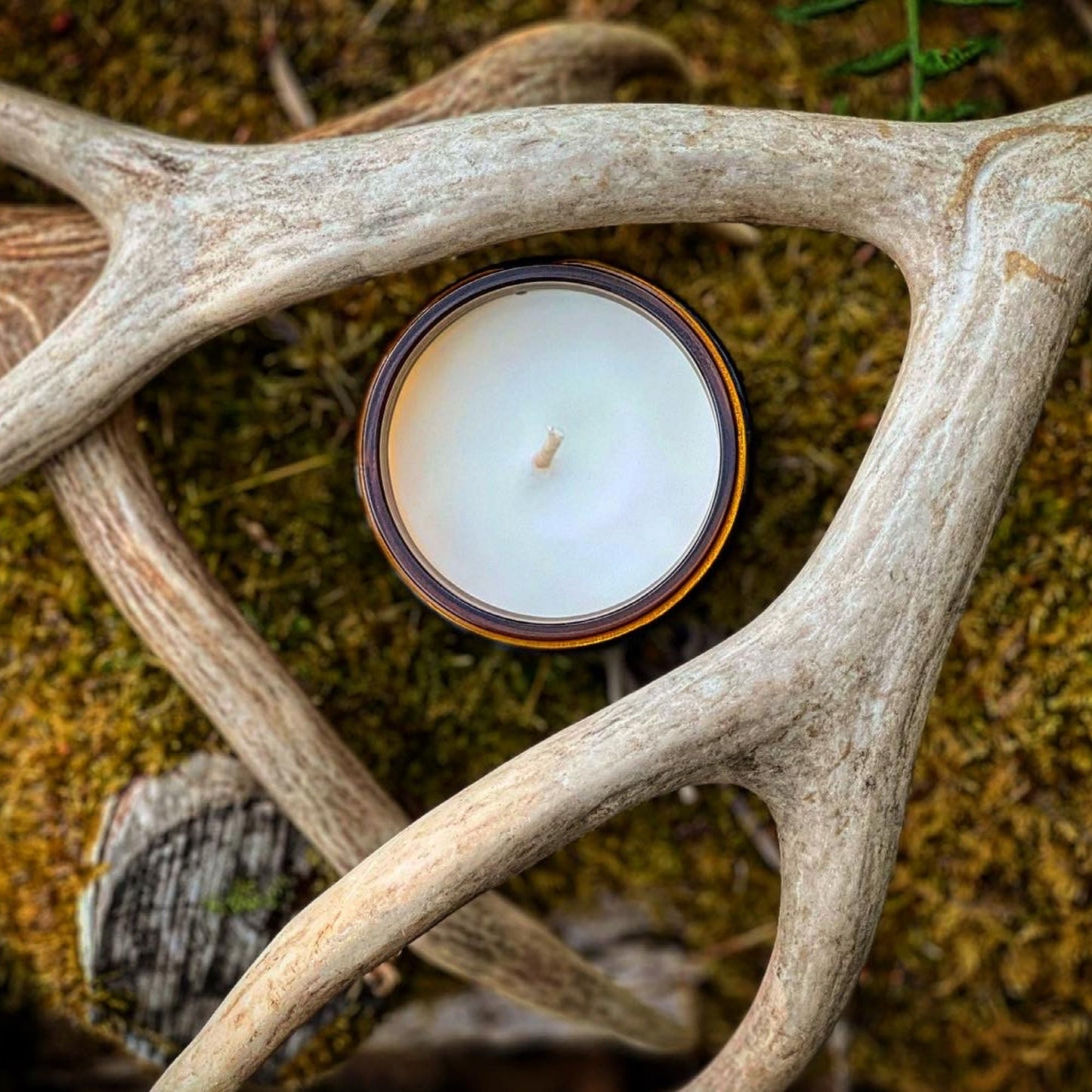 a white candle sitting in the middle of antlers