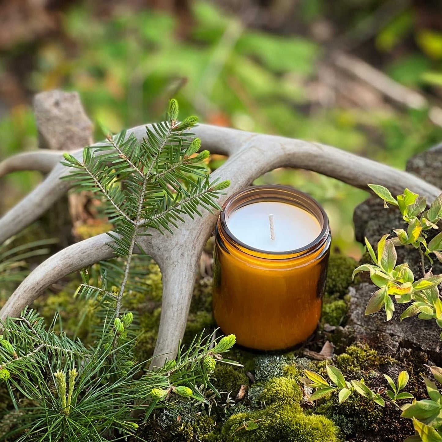 a candle sitting on top of a moss covered ground