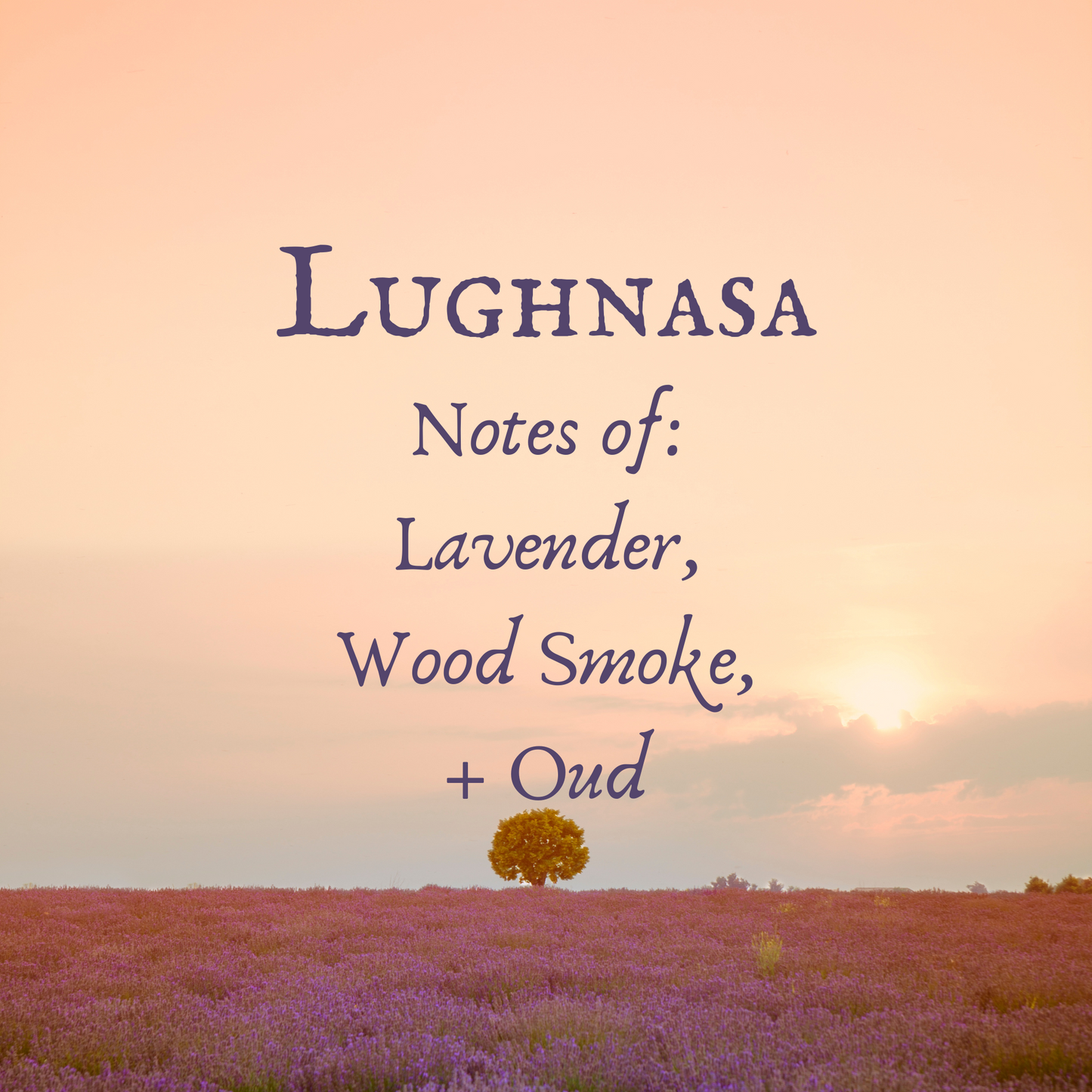 Lughnasa Candle, Lavender and Woodsmoke