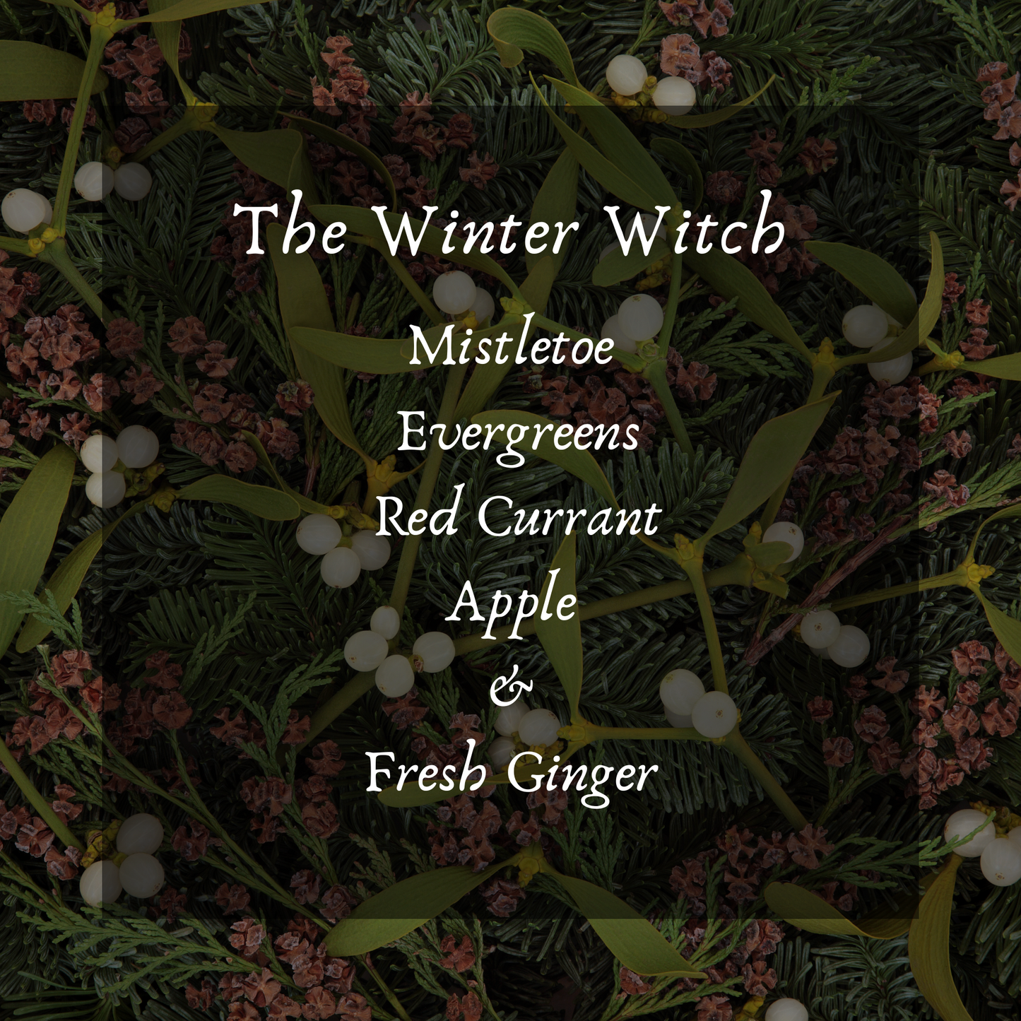 Winter Witch Perfume Oil