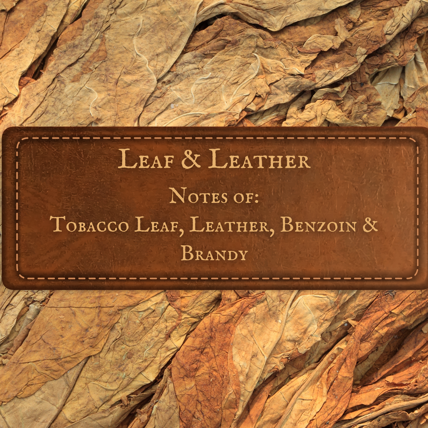 Leaf and Leather Body Wash