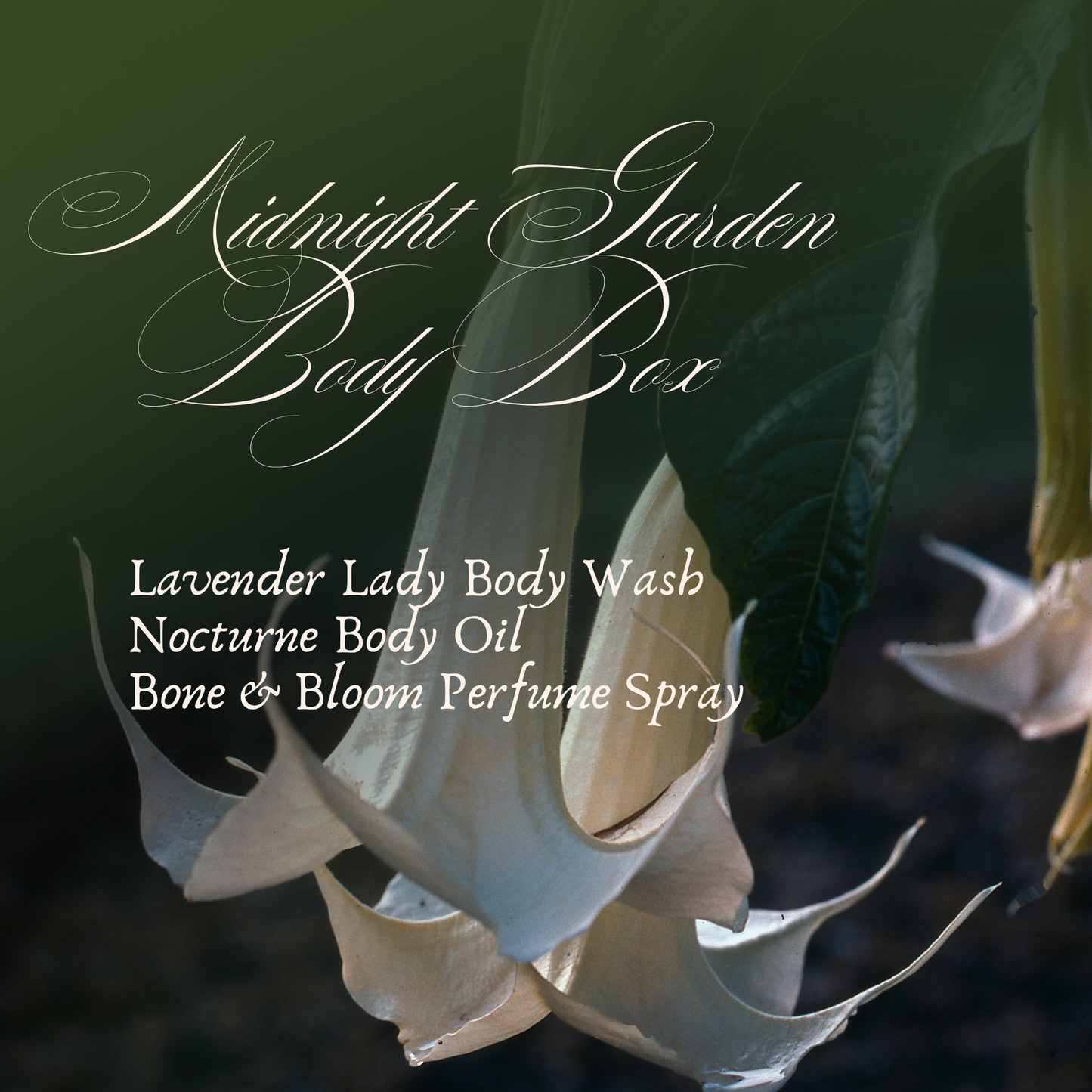 Midnight Garden Body Box: Lavender Lady, Nocturne, Bone & Bloom