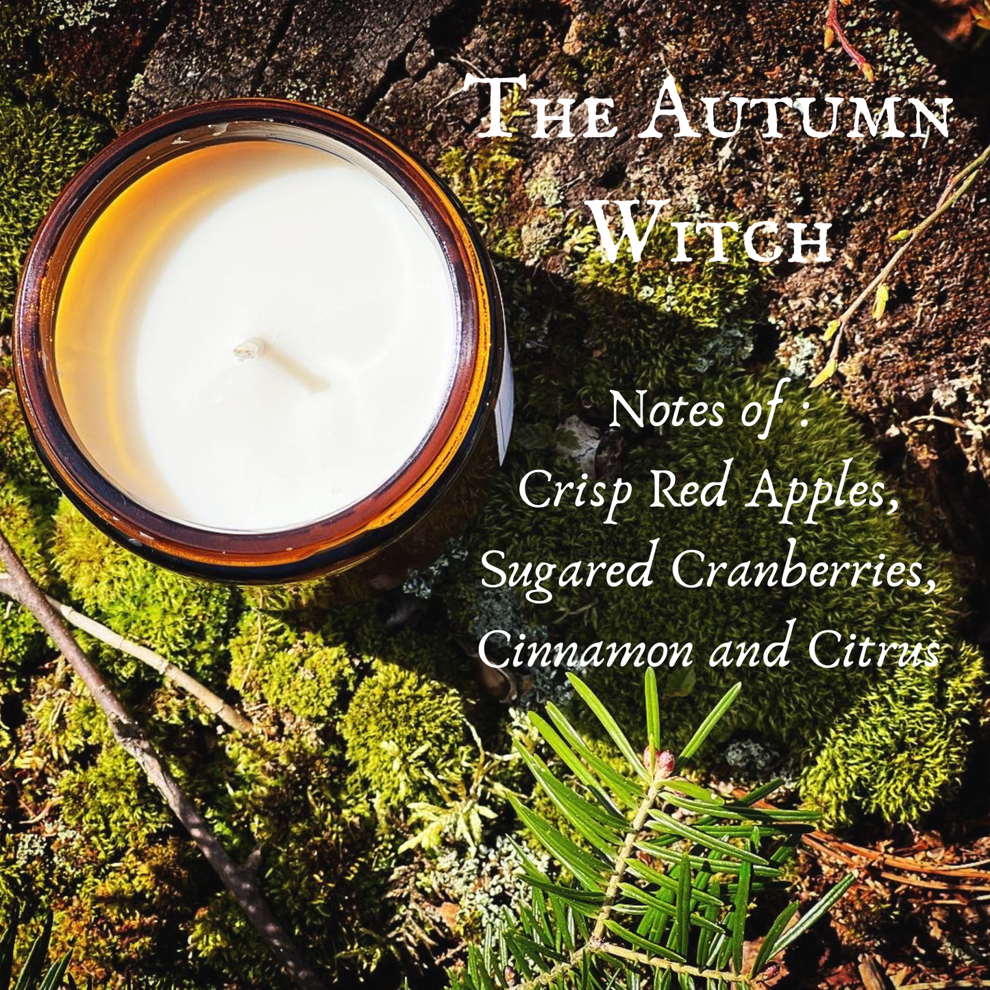 Autumn Witch Candle, Freyja's Daughters Candles