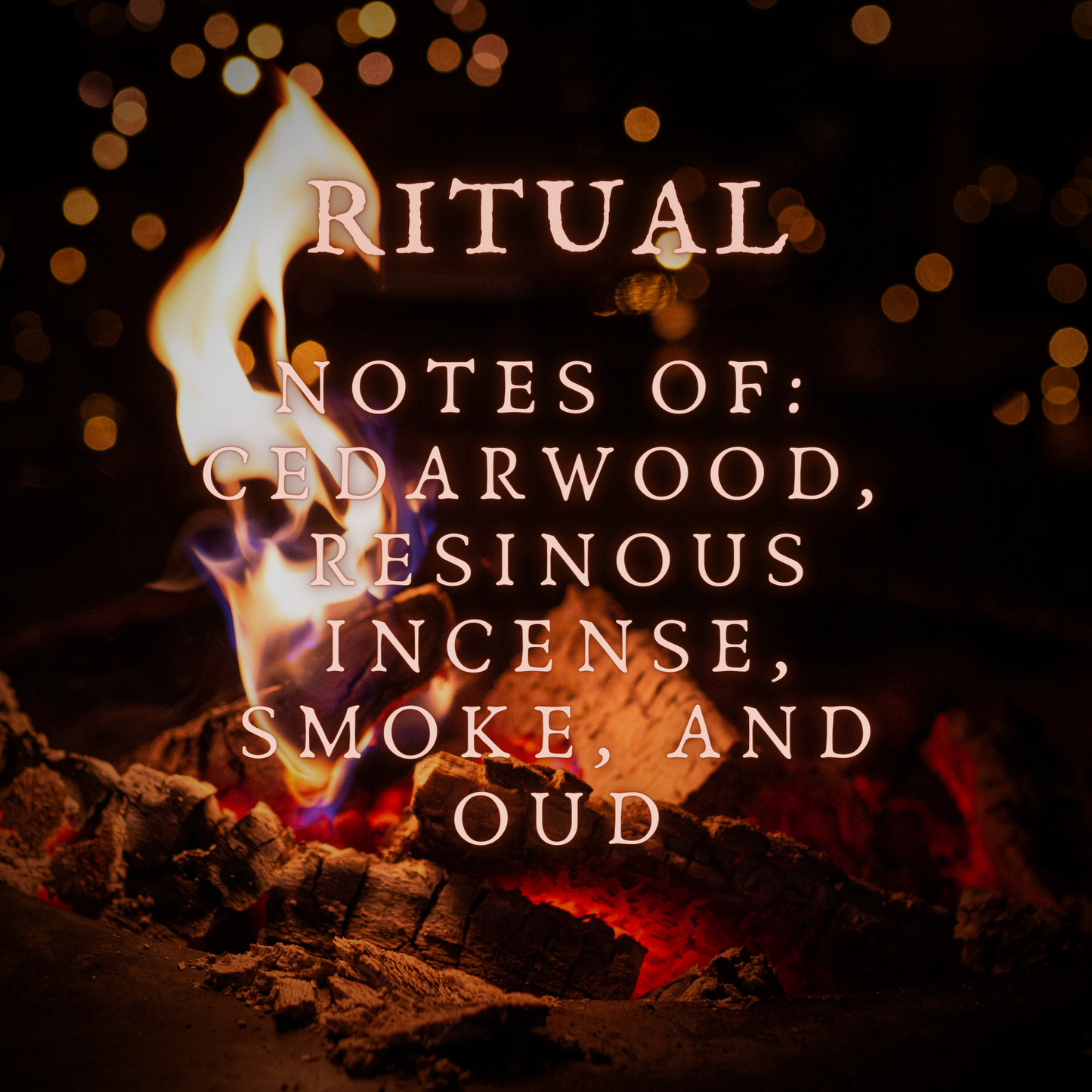 Ritual Perfume Oil and Body Oil