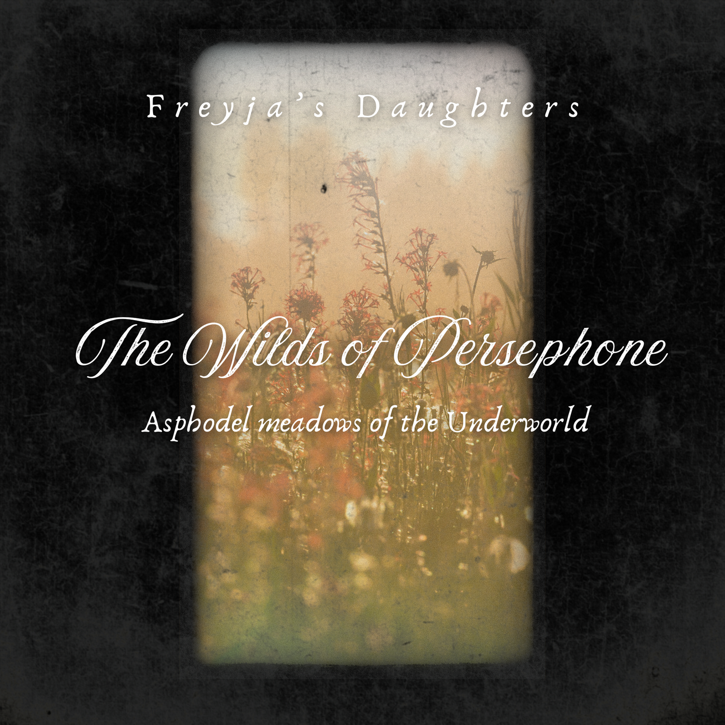 Wilds of Persephone Perfume: White Flower Nectar, Honey, Amber- Limited Edition