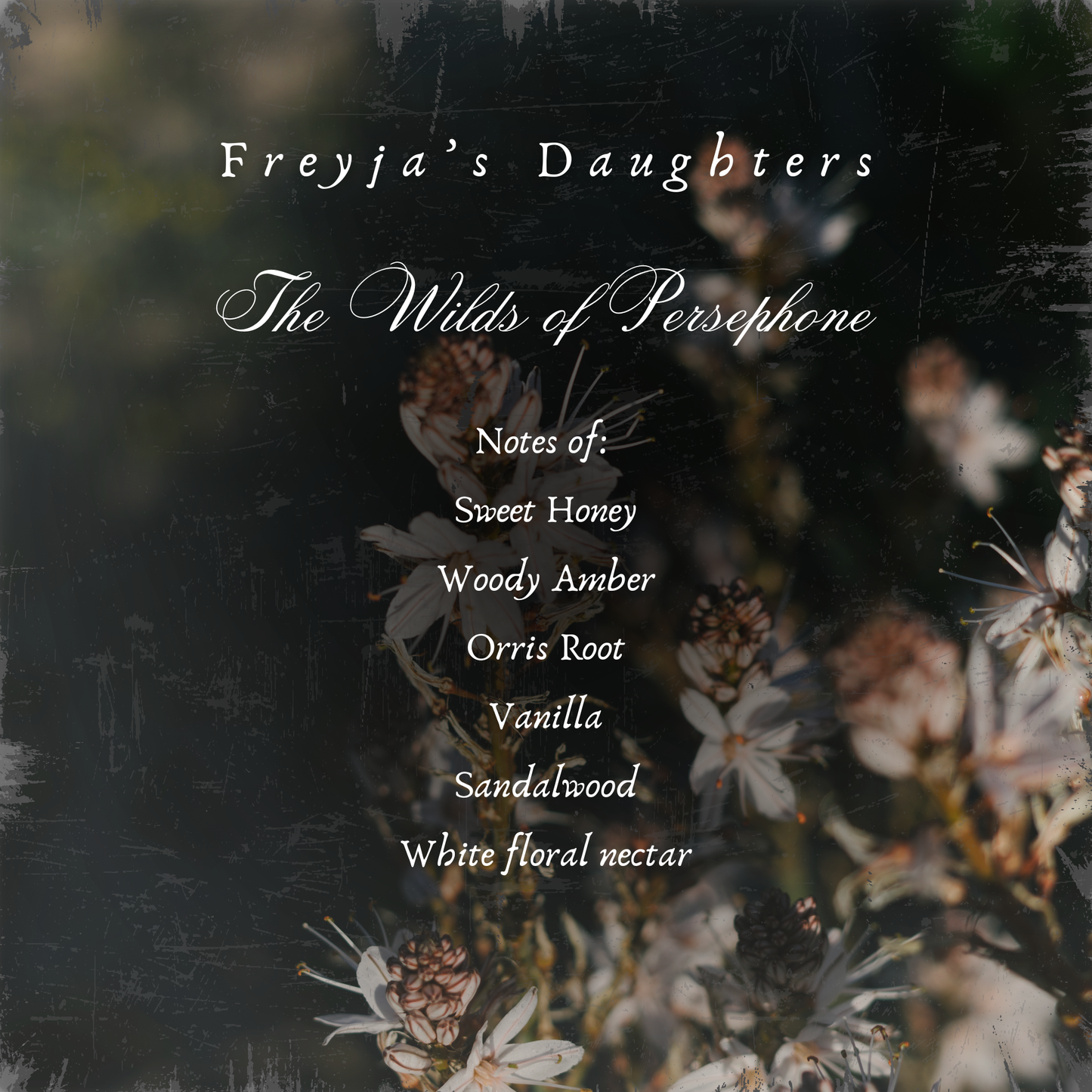 The Wanderlust Collection Sample Sets- Spray Perfume- Limited Release