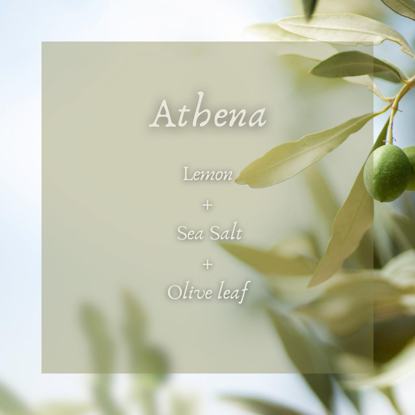 Athena Perfume Oil