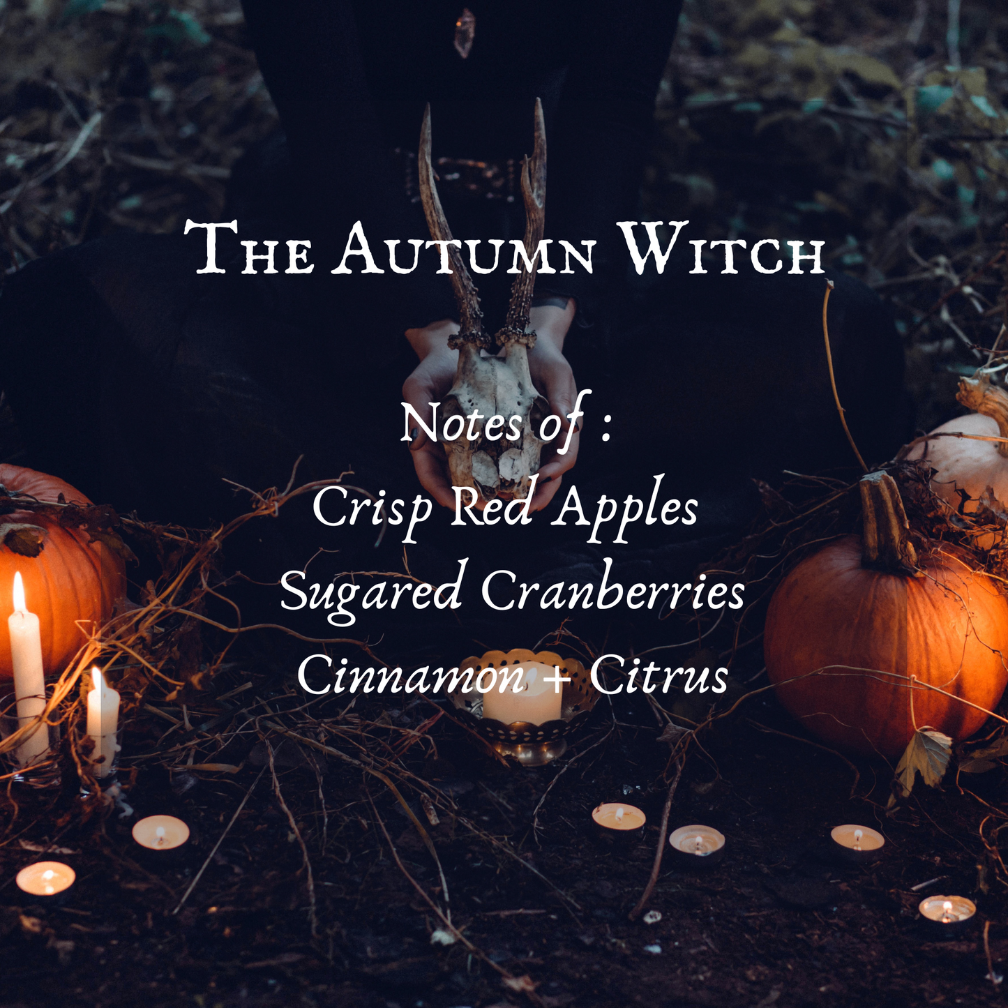 The Autumn Witch Perfume Oil