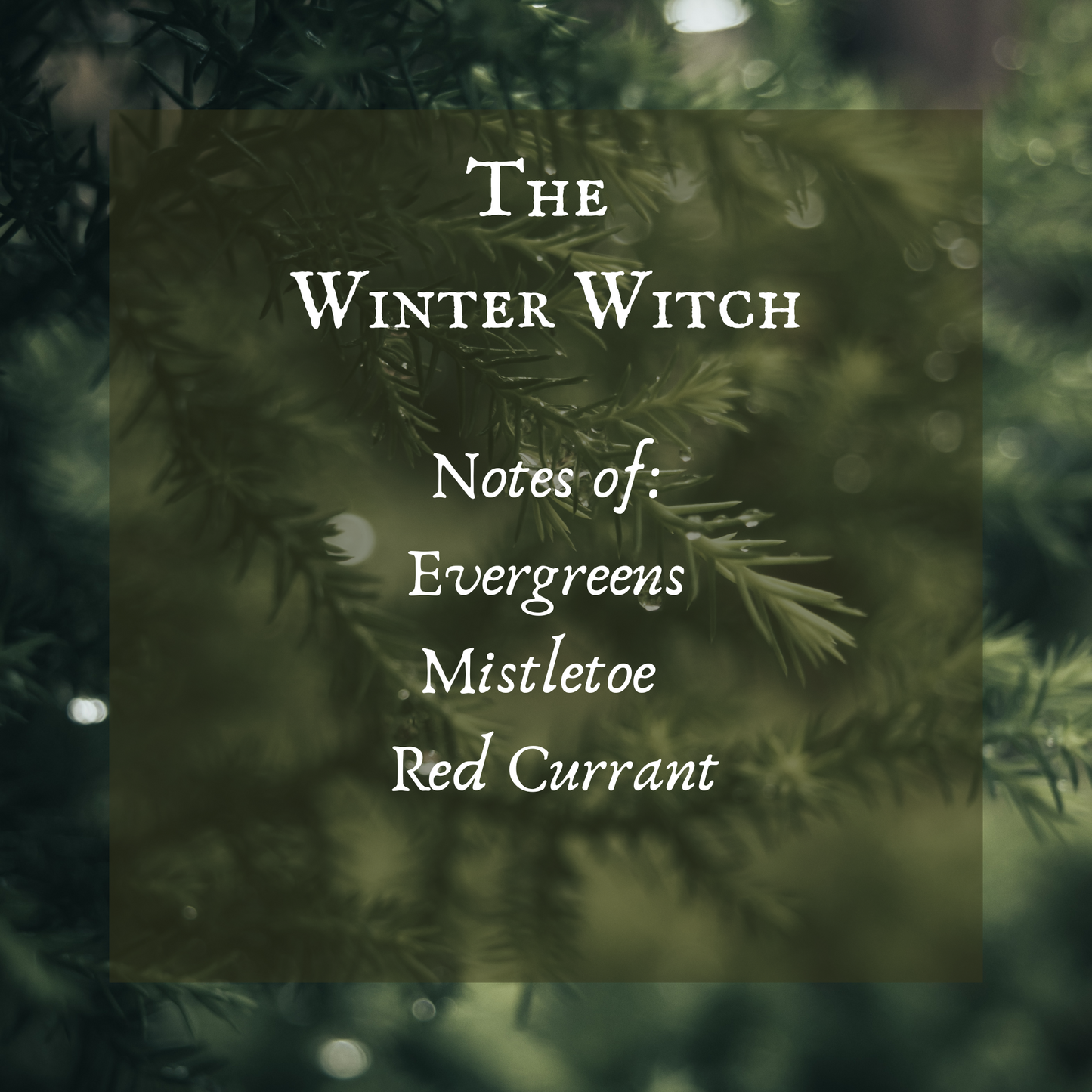 The Winter Witch Perfume Oil