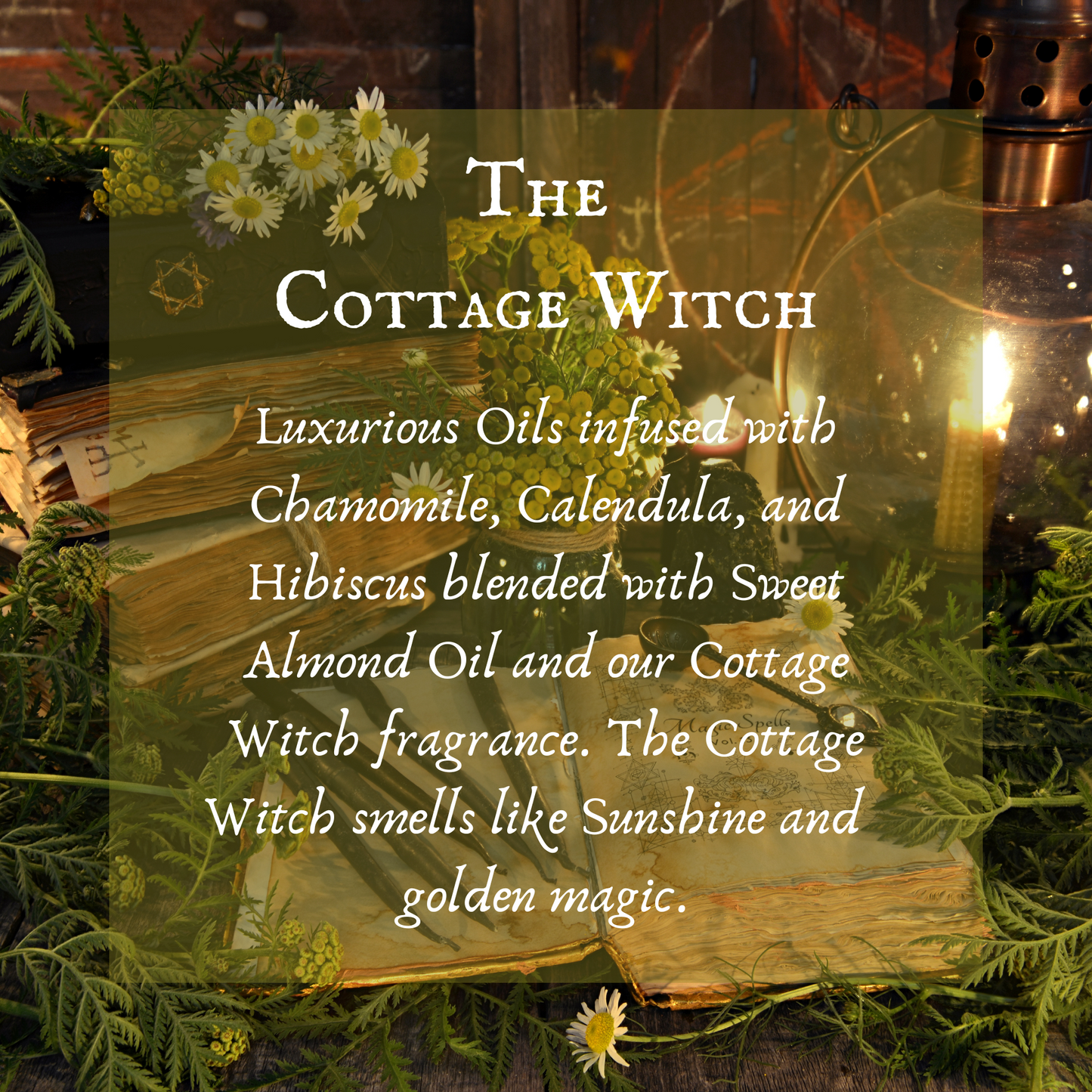 The Cottage Witch Body Oil