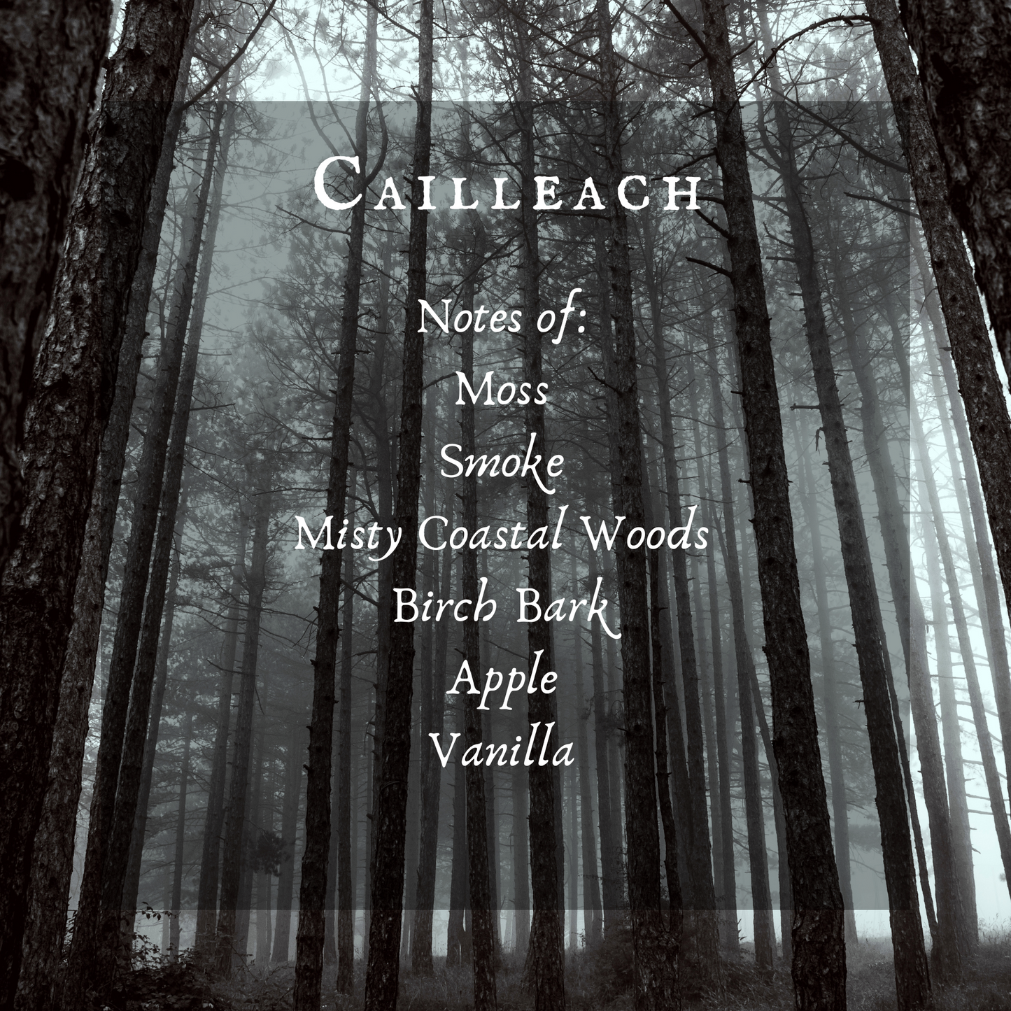 Cailleach Perfume Oil, Witches of the World Collection, Ireland/Scotland