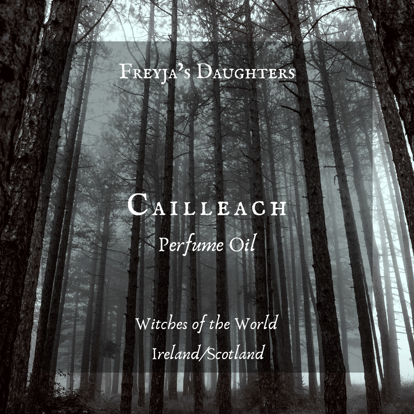 Cailleach Perfume Oil, Witches of the World Collection, Ireland/Scotland