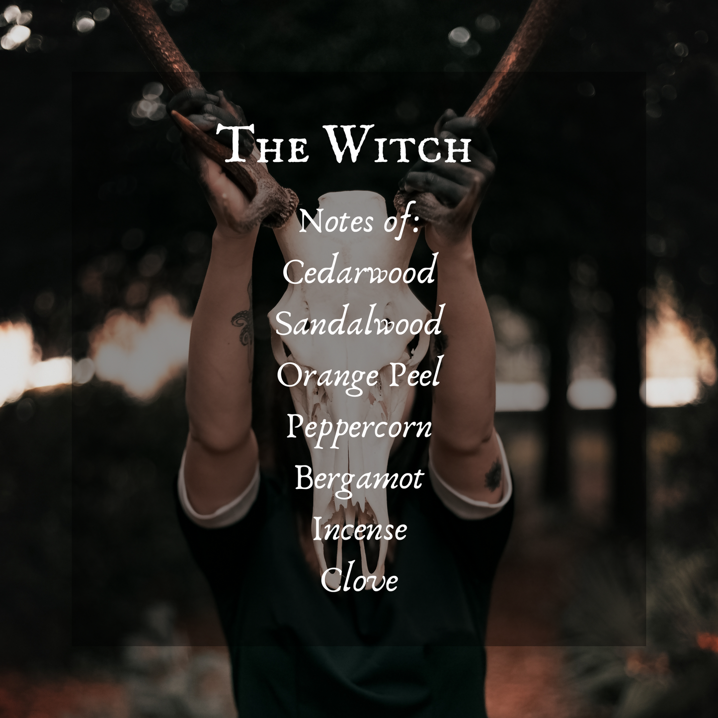 The Witch Perfume Oil, Witches of the World Collection, North America