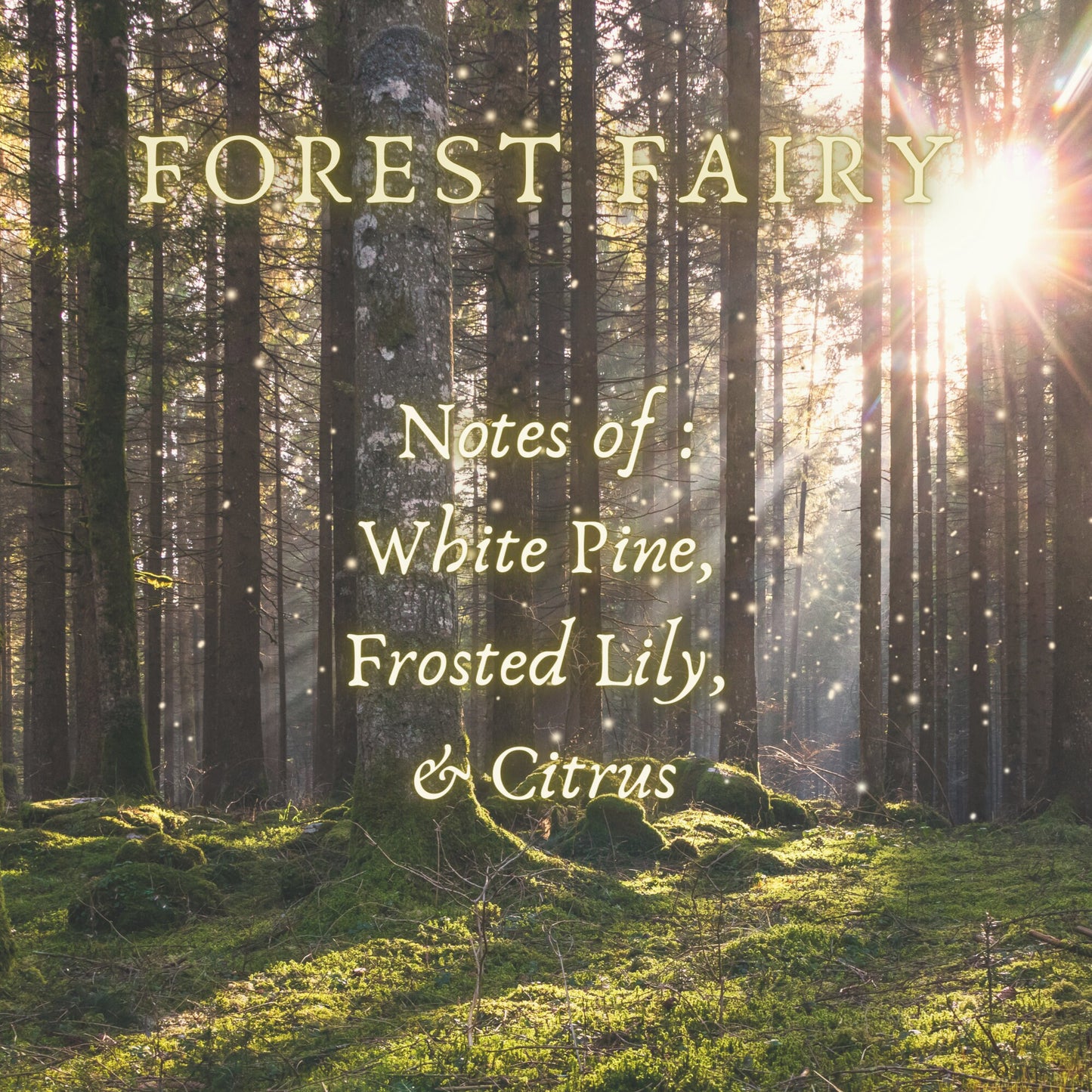 Forest Fairy Perfume Oil and Body Oil