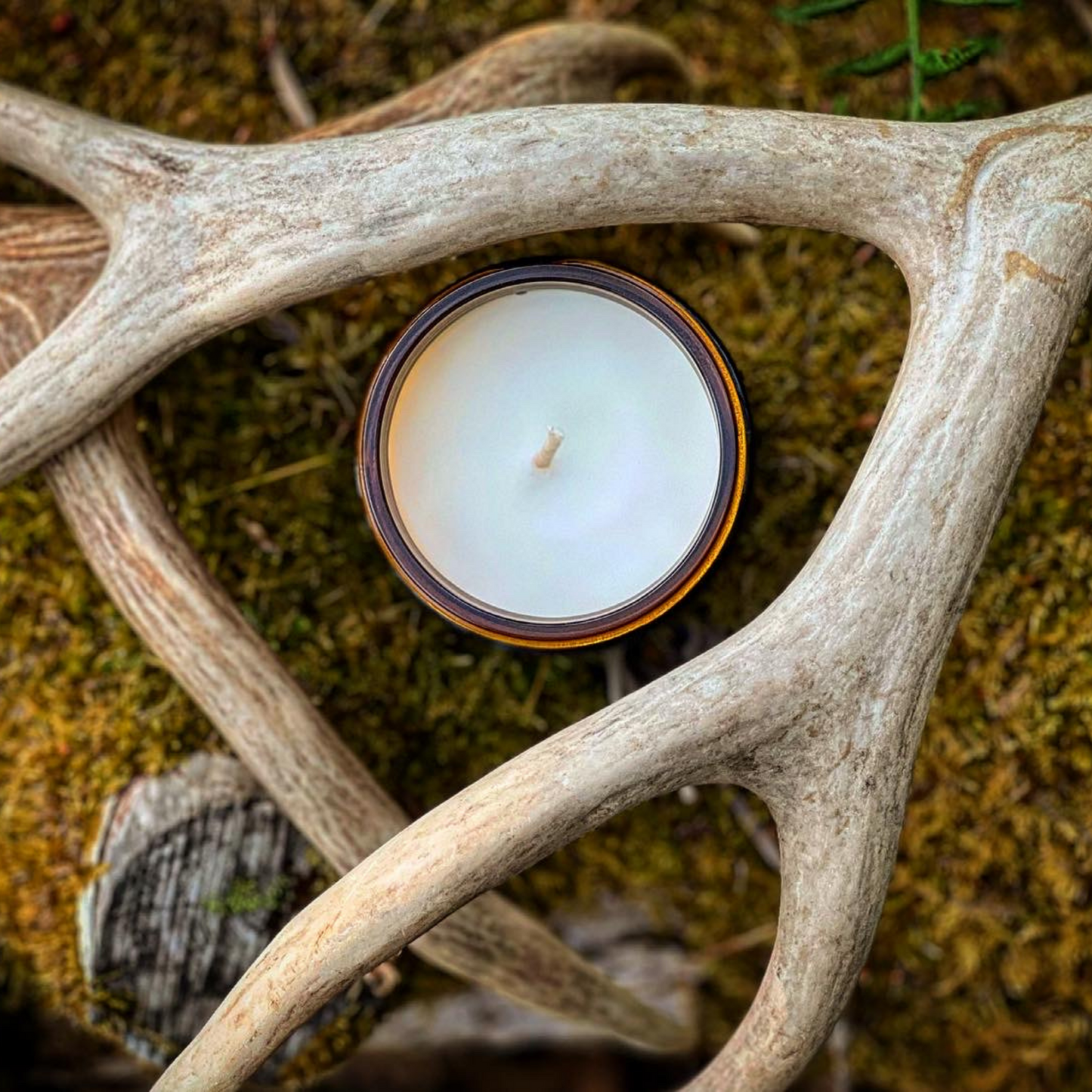 Odin Candle, Freyja's Daughters Norse Pagan Artisan Candles, Evergreen Forest Scent