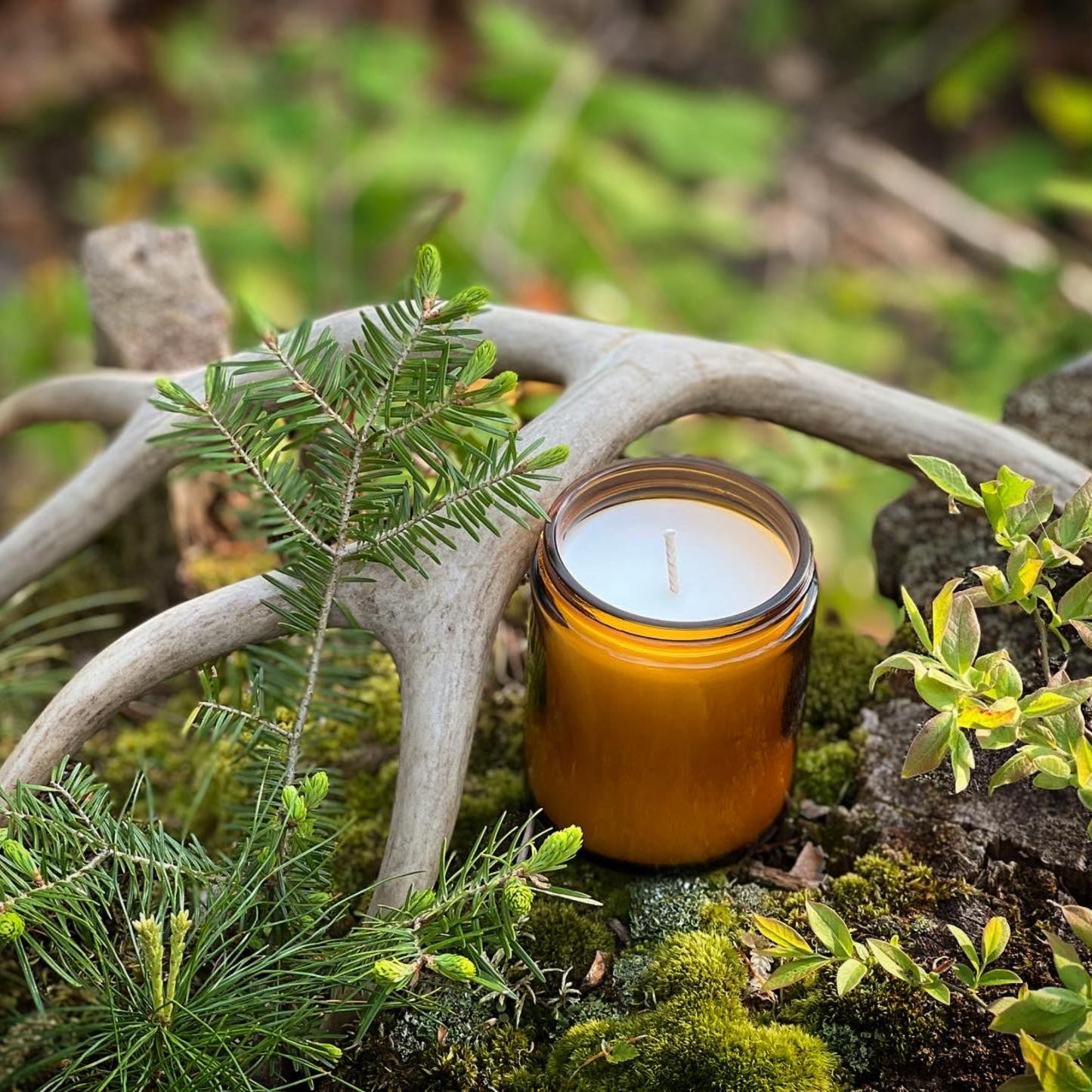 Odin Candle, Freyja's Daughters Norse Pagan Artisan Candles, Evergreen Forest Scent