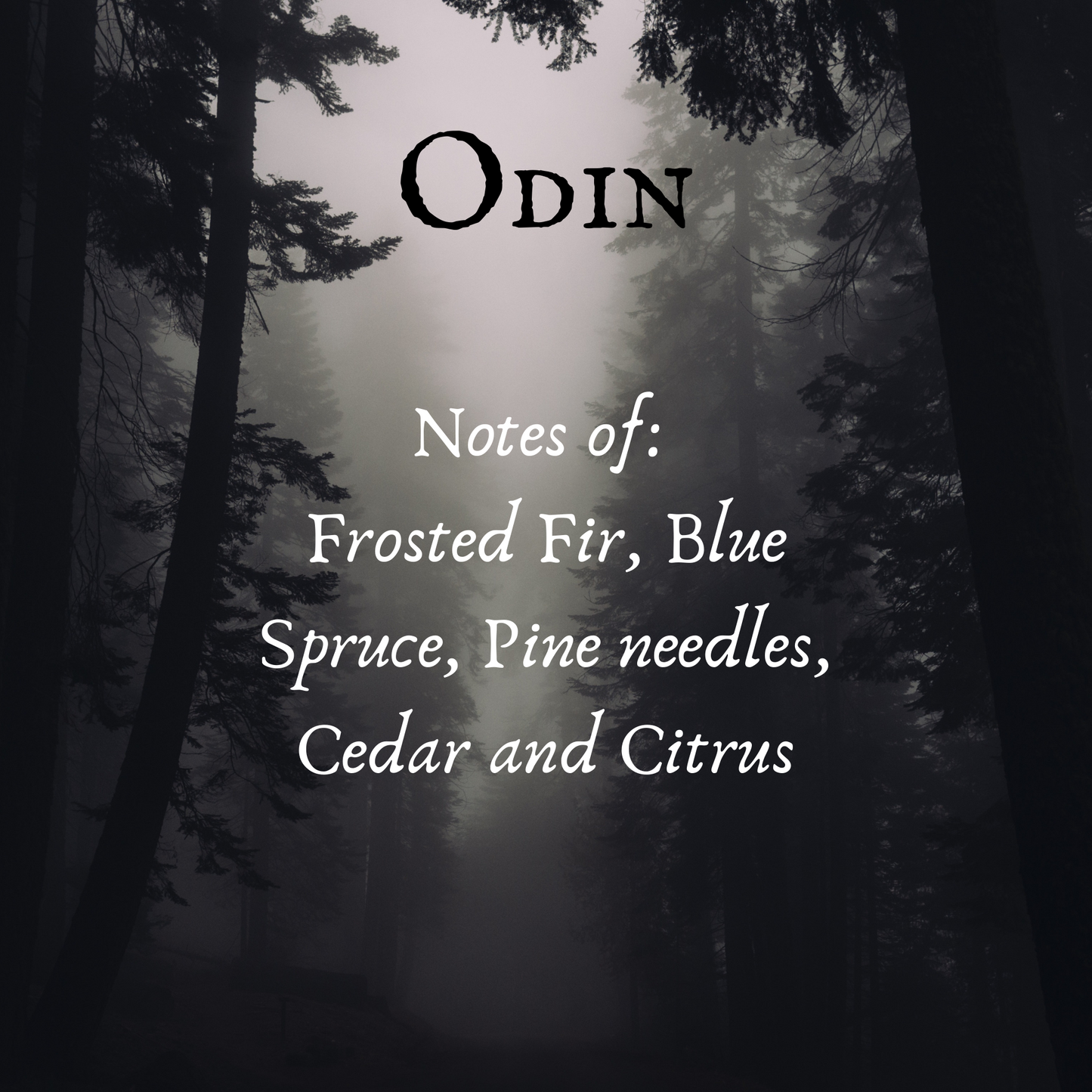 Odin Candle, Freyja's Daughters Norse Pagan Artisan Candles, Evergreen Forest Scent